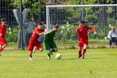 IMG_6991
